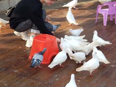 -南昌之星游乐场