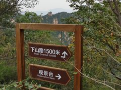 -大岭沟猕猴桃谷风景区