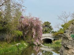-梁祝景区
