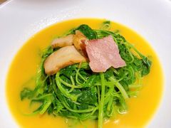 -荷风细雨·中国茶宴(碧云店)