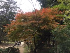 -庐山风景区花径公园