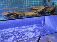 水产区-星伦多自助料理(永旺店)