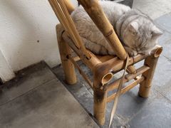 -冰拾叁(新都店)