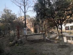 -成都动物园