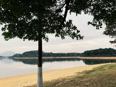 -松山湖南湖湾露营营地