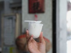 -洪馨椰子