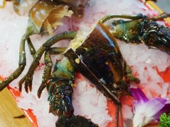 -捞围鲜·港式打边炉(海阳路店)