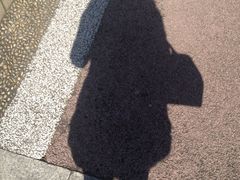 -苏州河梦清园环保主题公园