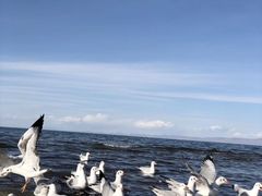 -青海湖国家重点风景名胜区