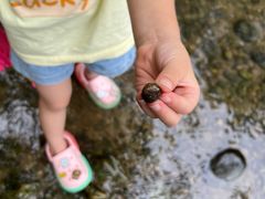 -桤木河湿地公园