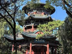 -迎泽公园