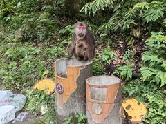 -西岭雪山大飞水景区