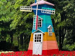 -上海共青森林公园