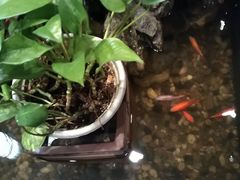 -龙源茶坊(白银路店)