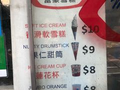 -富豪雪糕车流动点(尖沙咀店)