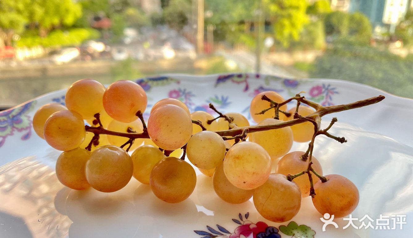 31 19:31:36 阅读 0 评论 0 点赞 1 踏破铁鞋无觅处的智利muscat葡萄