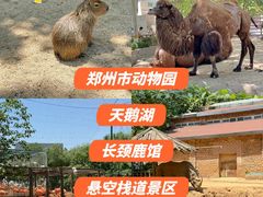 -郑州市动物园