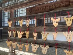 -奈良公园