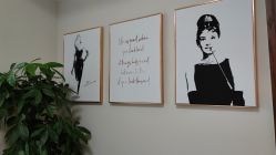 -演员的秘密·皮肤管理