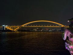 -新龙船黄浦江餐饮游船官方自营店