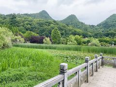 -贵阳市花溪国家城市湿地公园