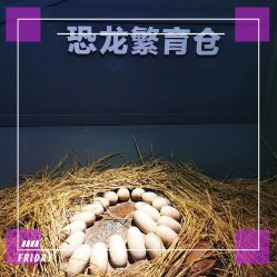 -恐龙探索乐园(磁器口店)