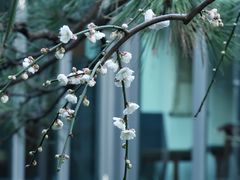 -静安雕塑公园