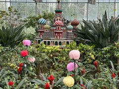 -南宫五洲植物乐园