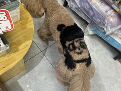 -喜洋洋宠物医院(震川路总店)