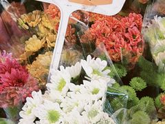 -循礼门鲜花花市(武汉循礼门店)