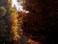 -南京市无想山景区