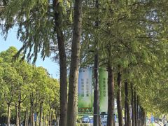 -上海长兴岛郊野公园