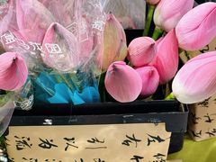 -盒马鲜生(帝斯曼店)