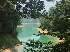 -广州市流溪河国家森林公园