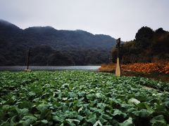 -广州市石门国家森林公园