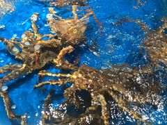 -盒马鲜生(杭州运河上街店)