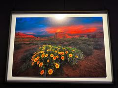 -罗红摄影艺术馆