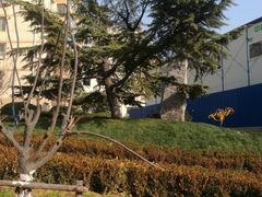 -马栏河运动公园