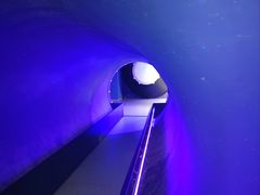 -苏州青少年科技馆