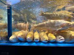 -胖东来生活广场(健康路店)