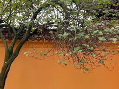 -什邡罗汉寺