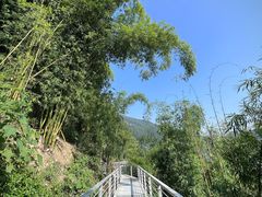 -洪霞餐馆