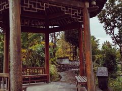 -腾冲国萍农家乐