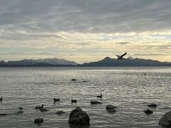 -深圳湾公园(南山区)