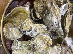 -老家黄墩小错鸡·活海鲜