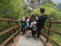 -神农山景区