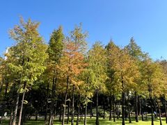 -晓港公园
