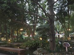 -成都市活水公园
