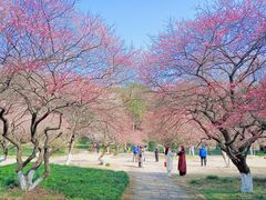 -杭州植物园