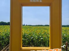 -苏州湾体育公园